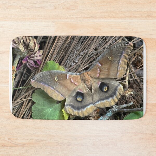 Item preview, Polyphemus Moth designed and sold by Alice Kahn.