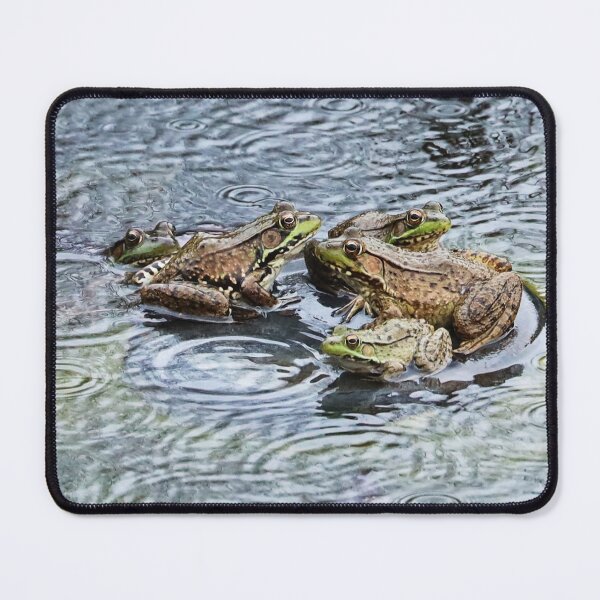 Item preview, Pile of frogs on a rainy day. designed and sold by Alice Kahn.