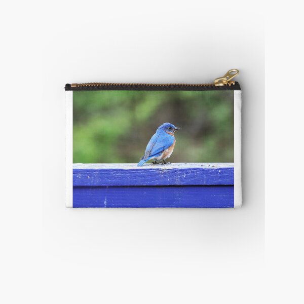 Artikelvorschau, Blaumeise auf blauem Zaun entworfen und verkauft von Alice  Becky Kahn.