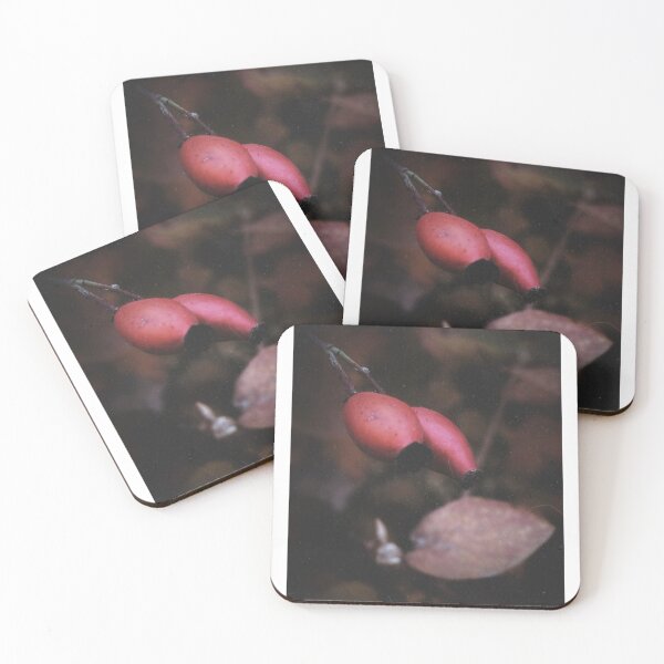 Item preview, Rosehip Berries in Autumn – Moody Nature Photography designed and sold by Sarah – Fine Art & Photography.