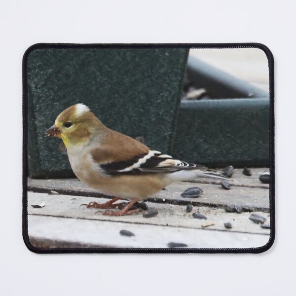 Item preview, Strange Goldfinch designed and sold by Alice Kahn.