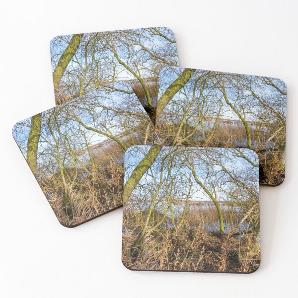 Item preview, Rockland St Mary broad on a sunny day designed and sold by yackers1.
