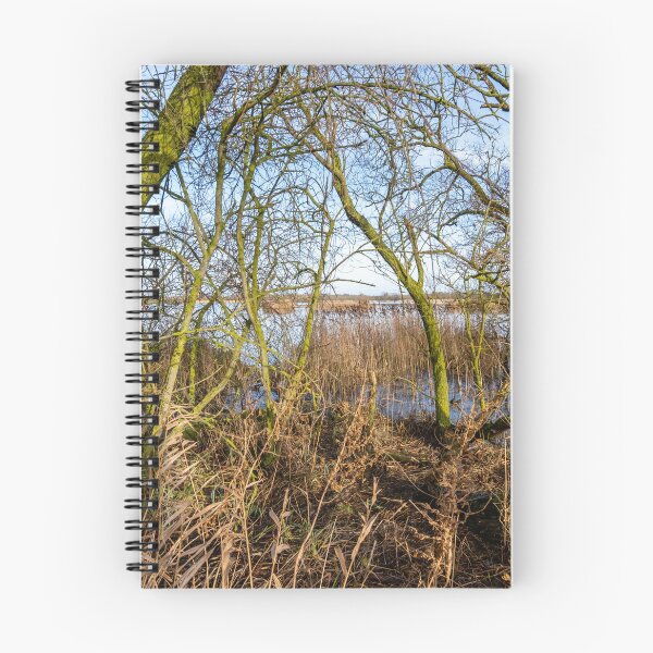 Item preview, Rockland St Mary broad on a sunny day designed and sold by yackers1.