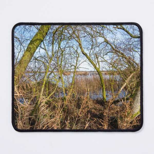 Item preview, Rockland St Mary broad on a sunny day designed and sold by yackers1.