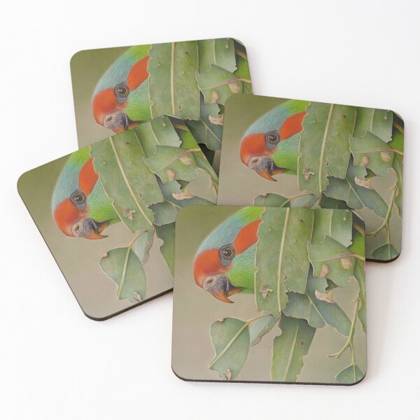 Item preview, Musk Lorikeet designed and sold by Debra Spence.