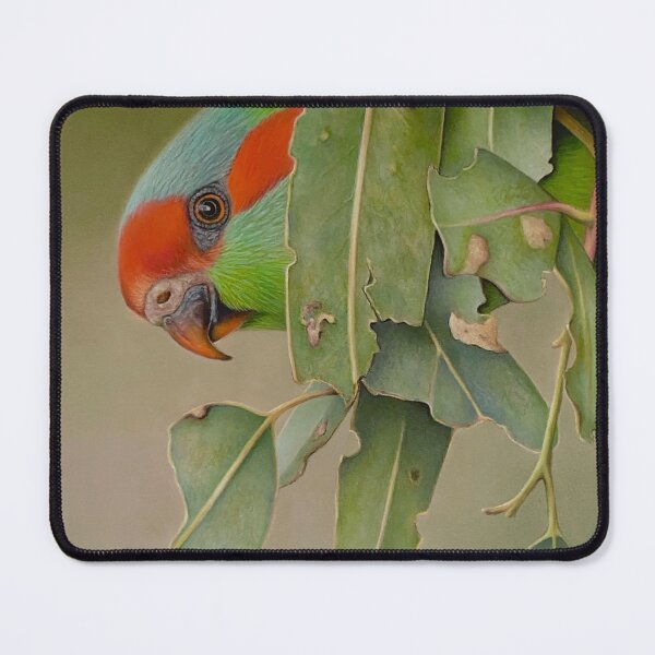 Item preview, Musk Lorikeet designed and sold by Debra Spence.