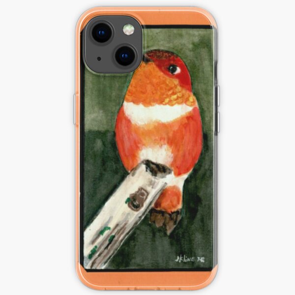 Hummingbird iPhone Soft Case