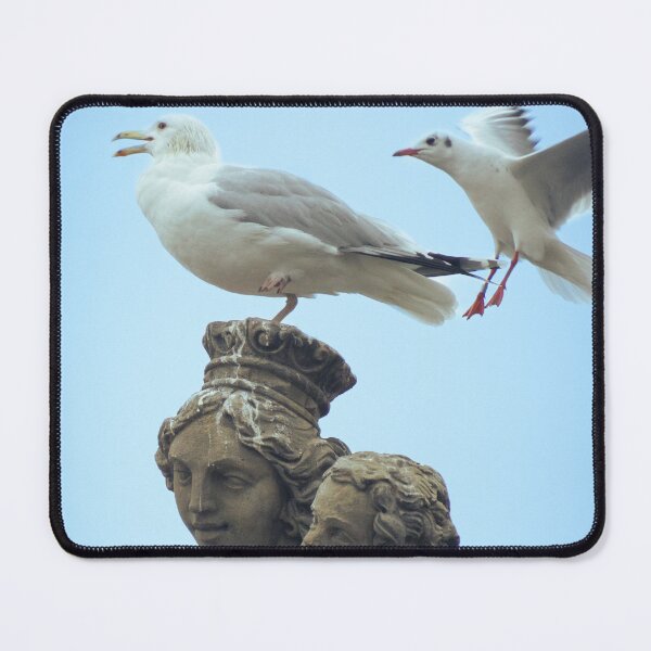 Item preview, Flight of Serenity: Seagulls and a Saint Statue designed and sold by Vision By Luca Spoo.