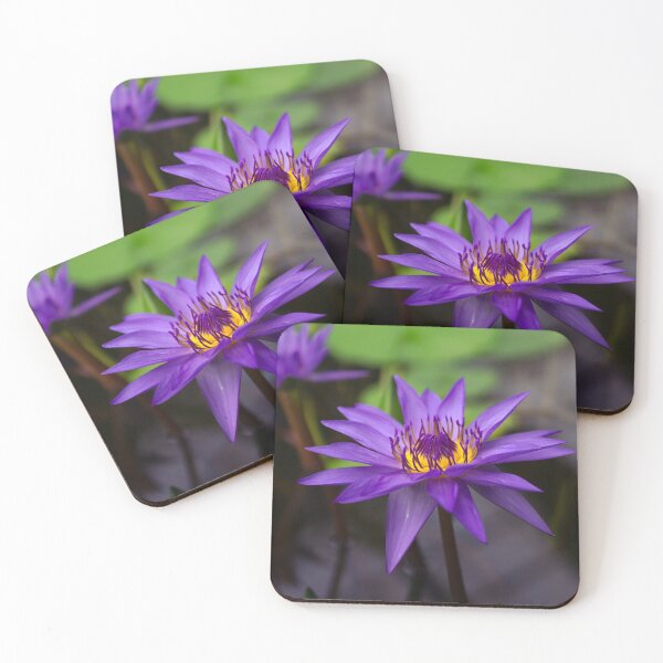 Item preview, Natural perfection: The delicate beauty of a water lily designed and sold by Vision By Luca Spoo.
