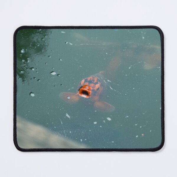 Item preview, Nishikigoi – Living Art Under the Water's Surface designed and sold by Vision By Luca Spoo.