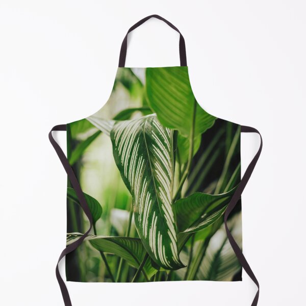 Item preview, White Pin Stripe Calathea designed and sold by ainalycious.