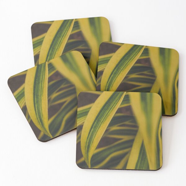 Item preview, Yellow Dracaena Reflexa designed and sold by ainalycious.