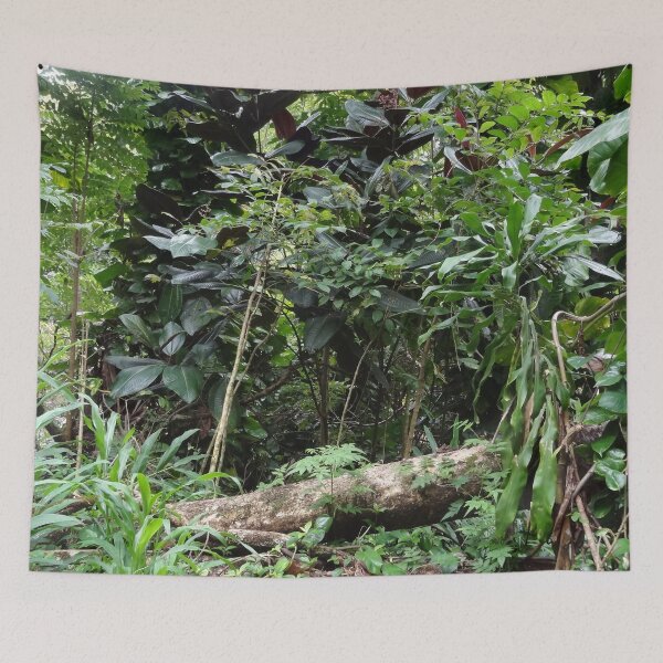 Item preview, Tropical Rainforest 04 designed and sold by MoodyMuseArt.