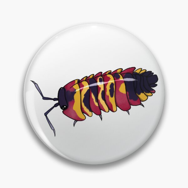Item preview, Ardentiella sp. "blister" Isopod designed and sold by Azure-Exotics.