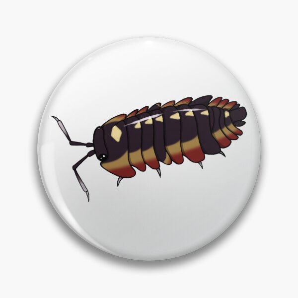 Item preview, Ardentiella sp. "red diablo" Isopod designed and sold by Azure-Exotics.