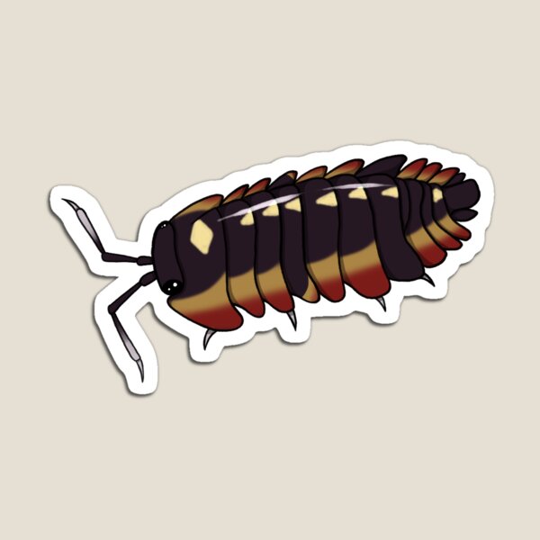 Item preview, Ardentiella sp. "red diablo" Isopod designed and sold by Azure-Exotics.