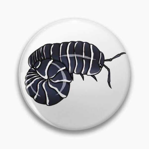 Item preview, Armadillidium maculatum "zebra" Isopod designed and sold by Azure-Exotics.
