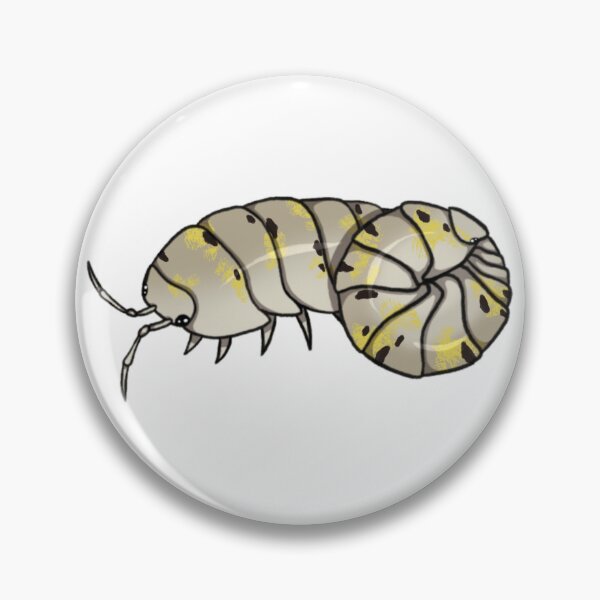 Item preview, Armadillidium vulgare "magic potion (Japanese)" Isopod designed and sold by Azure-Exotics.