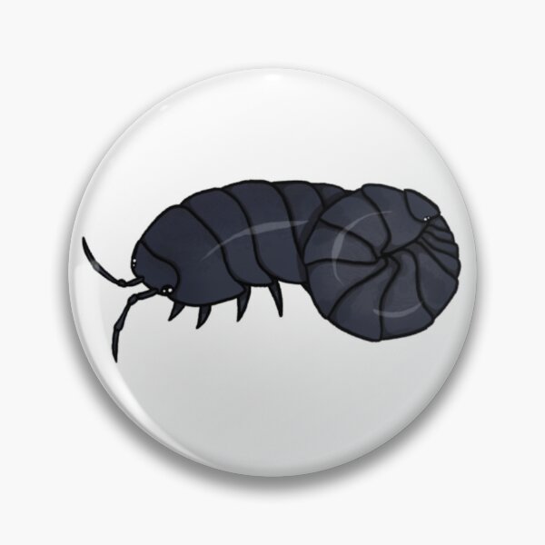 Item preview, Armadillidium vulgare "wild type" Isopod designed and sold by Azure-Exotics.