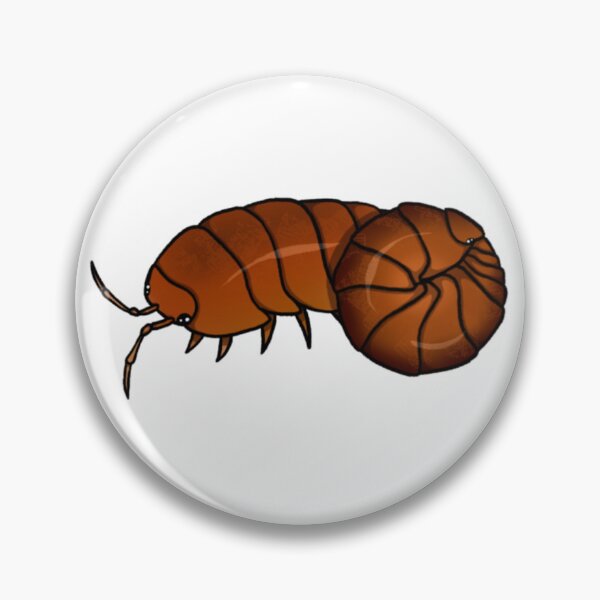 Item preview, Armadillidium vulgare "orange vigor" Isopod designed and sold by Azure-Exotics.