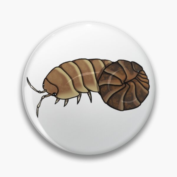 Item preview, Armadillidium vulgare "punta cana" Isopod designed and sold by Azure-Exotics.