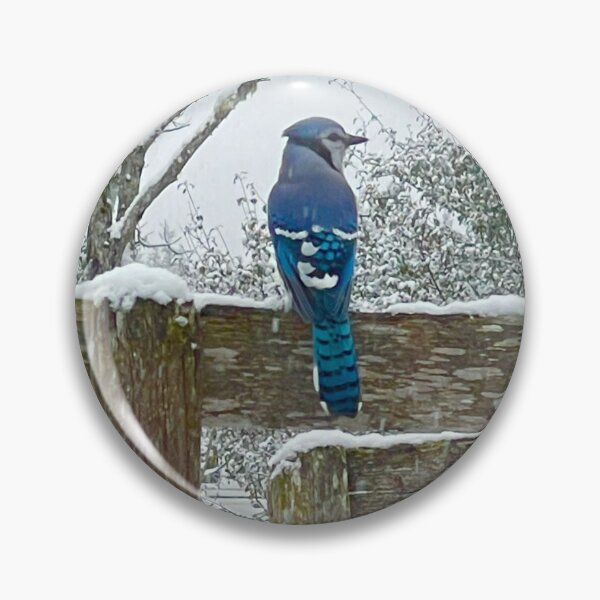 Item preview, ADS_5213_PH_BLUE_JAY_ IN WINTER designed and sold by Artfully Designed Studio.