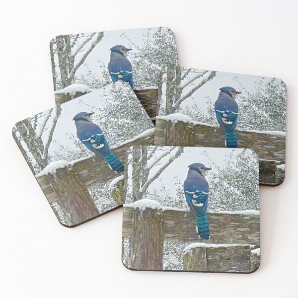 Item preview, ADS_5213_PH_BLUE_JAY_ IN WINTER designed and sold by Artfully Designed Studio.