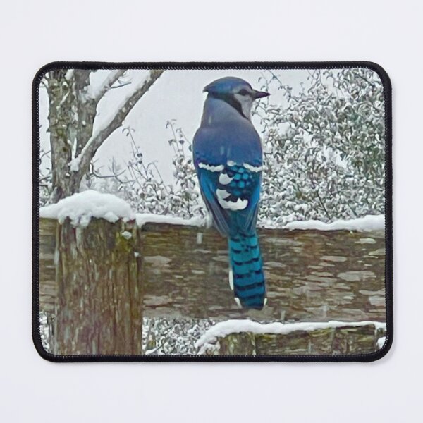 Item preview, ADS_5213_PH_BLUE_JAY_ IN WINTER designed and sold by Artfully Designed Studio.
