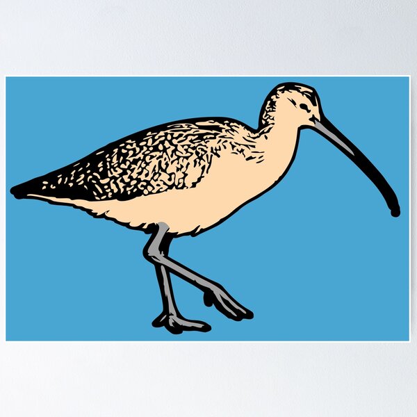 Item preview, Long-Billed Curlew Shorebird – Coastal Bird Nature Art designed and sold by donwillisjrart.