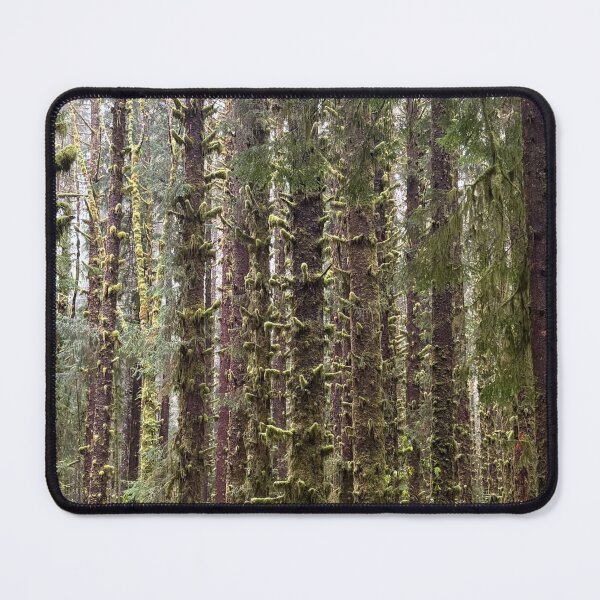 Item preview, Moss Trees at the Hoh Rainforest designed and sold by Eitelzoe.