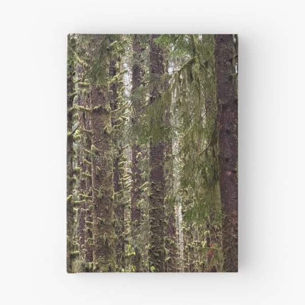 Item preview, Moss Trees at the Hoh Rainforest designed and sold by Eitelzoe.
