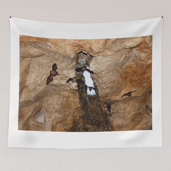 Item preview, Bat Cave designed and sold by AnnDixon.