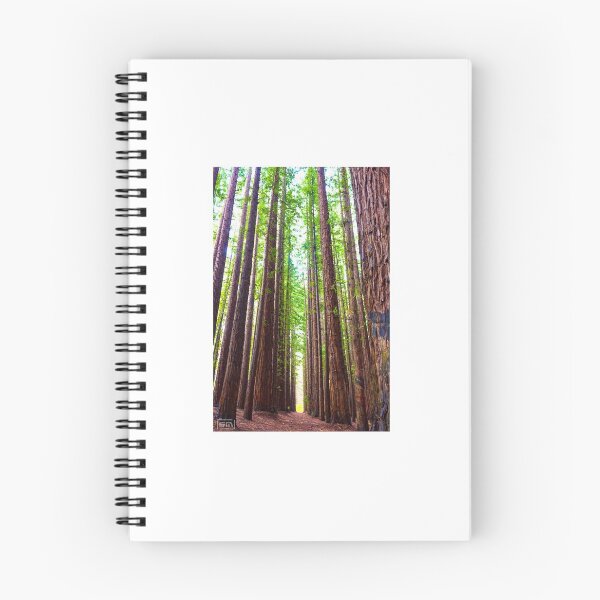 Item preview, EAST WARBURTON REDWOOD FOREST designed and sold by SebastianMarino.
