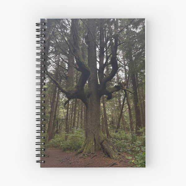 Item preview, Interesting Tree in Washington designed and sold by Eitelzoe.