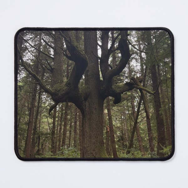Item preview, Interesting Tree in Washington designed and sold by Eitelzoe.