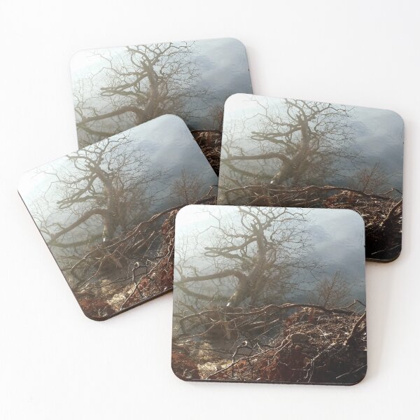Item preview, Fallen Tree designed and sold by MoodyMuseArt.