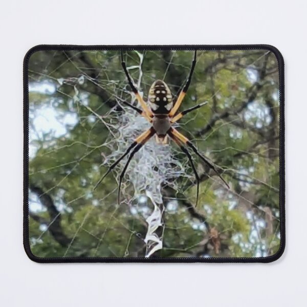 Item preview, Yellow Garden Spider designed and sold by MoodyMuseArt.
