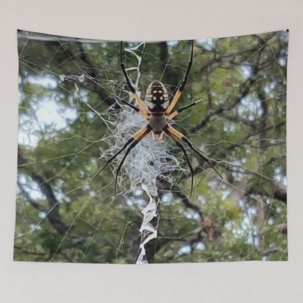 Item preview, Yellow Garden Spider designed and sold by MoodyMuseArt.
