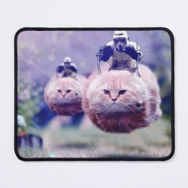 Item preview, Cat Speeder Trooper Star, Humor, Meme, Funny, Poster, Art designed and sold by socialarmour.