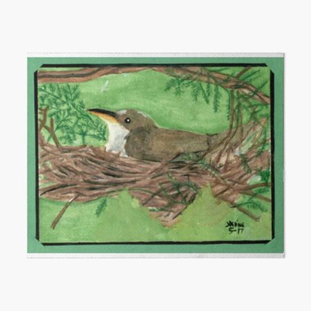 Nesting Wren Art Board Print