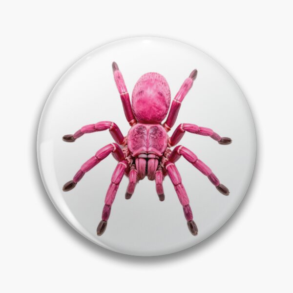 Item preview, Fantasy Pink Tarantula Sticker designed and sold by Express210.