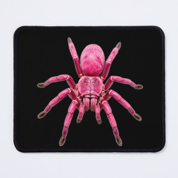 Item preview, Fantasy Pink Tarantula Sticker designed and sold by Express210.