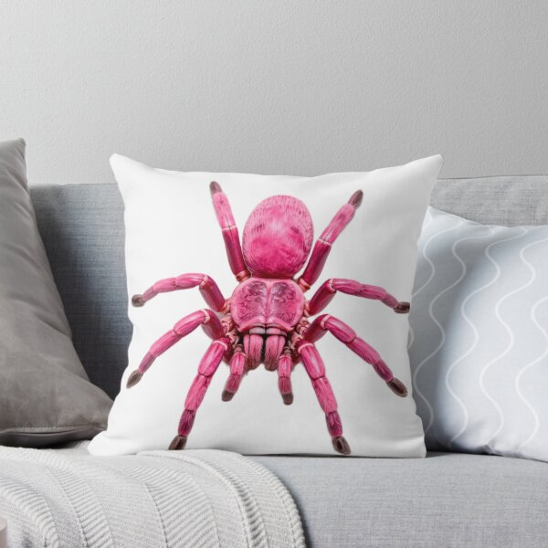 Item preview, Fantasy Pink Tarantula Sticker designed and sold by Express210.