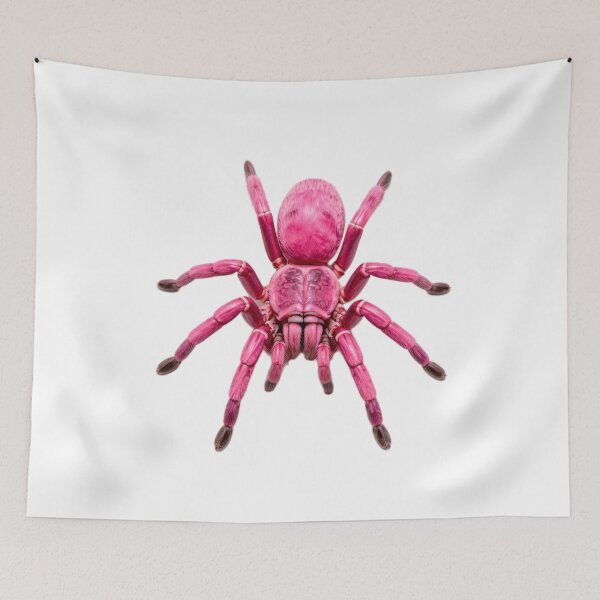 Item preview, Fantasy Pink Tarantula Sticker designed and sold by Express210.