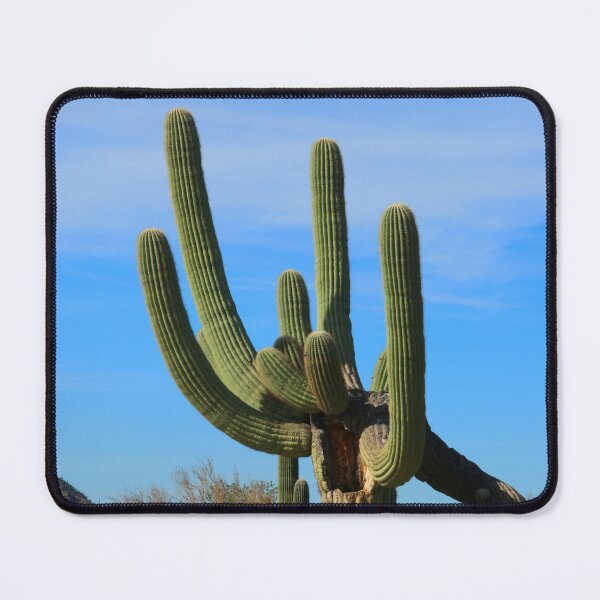 Item preview, Multi-armed Saguaro Cactus Arizona designed and sold by "sensesillusion" - Nature Images Art Prints .