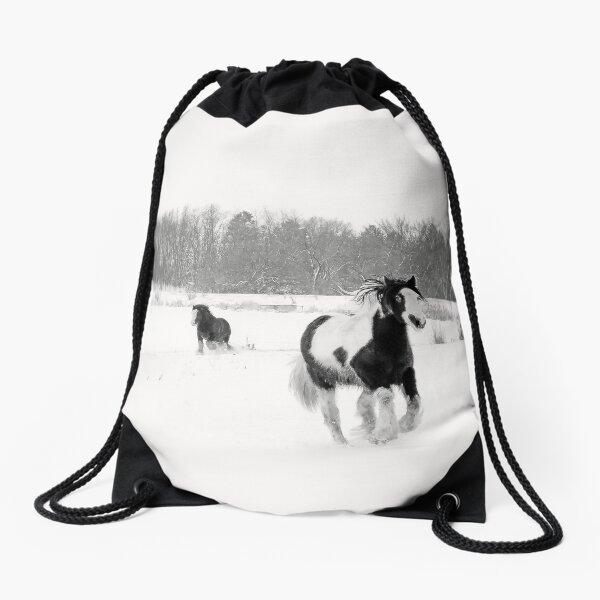 Horse Play Drawstring Bag