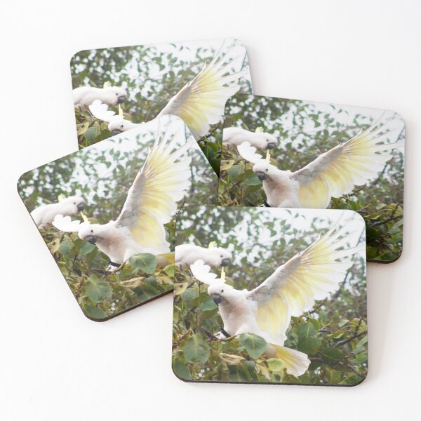 Item preview, Sulfur Crested Cockatoos Spread Wings designed and sold by Jane McDougall.