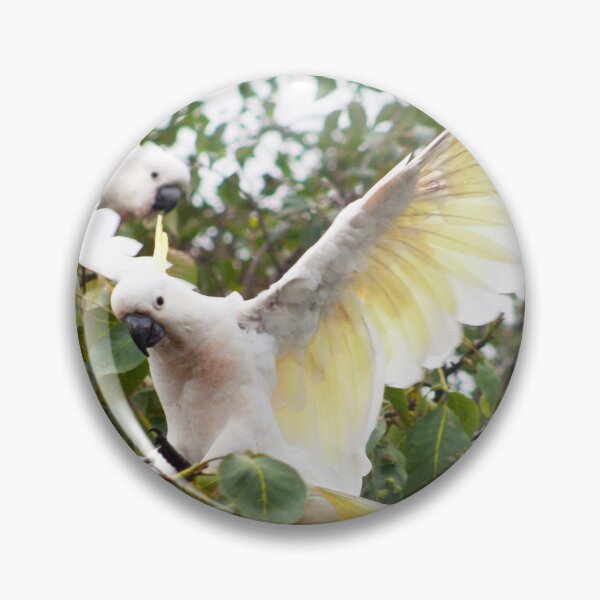 Item preview, Sulfur Crested Cockatoos Spread Wings designed and sold by Jane McDougall.