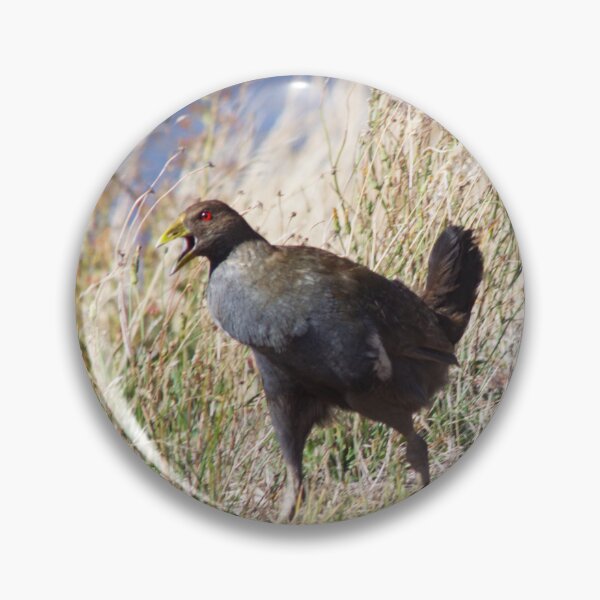 Item preview, Turbo Chook Warning Cry, Launceston Tasmania designed and sold by Jane McDougall.
