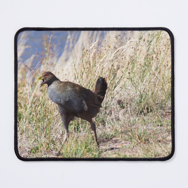 Item preview, Turbo Chook Warning Cry, Launceston Tasmania designed and sold by Jane McDougall.